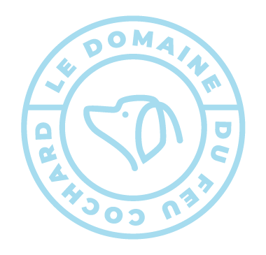 domainedufeucochard-logo